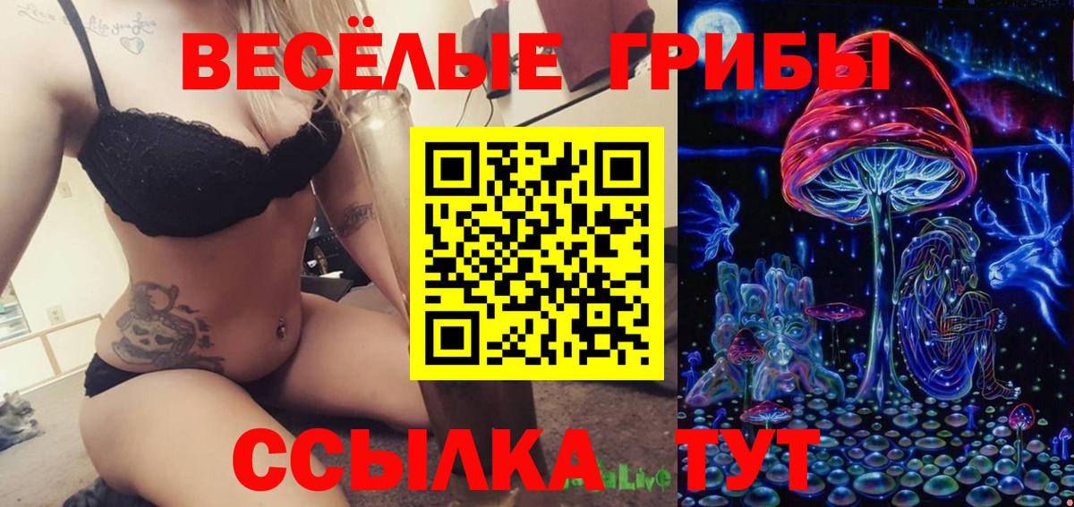 Псилоцибиновые грибы MAGIC MUSHROOMS Балтийск