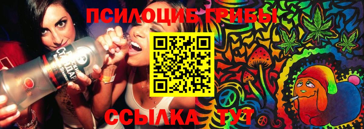Псилоцибиновые грибы прущие грибы  Вход с VPN  Балтийск 