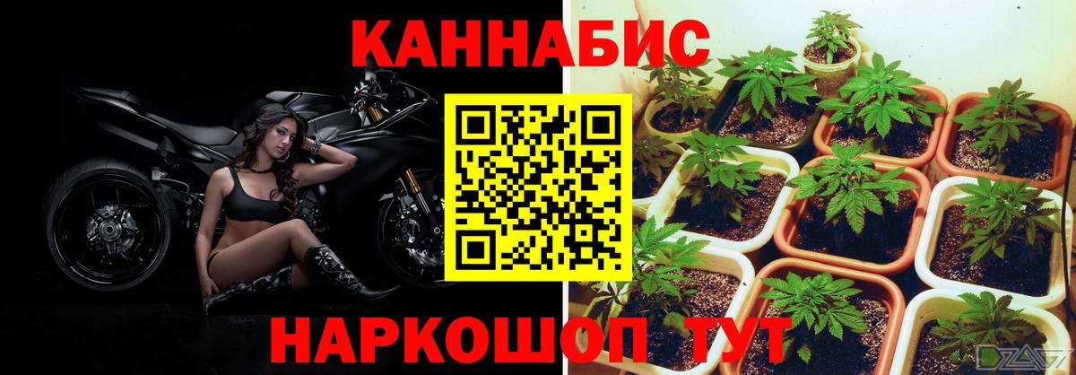 Шишки марихуана THC 21% Балтийск
